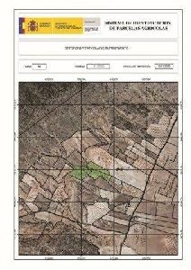 Yecla property: Land for sale in Yecla, Spain 49243