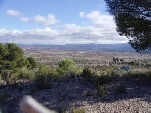 Yecla property: Yecla, Spain | Land for sale 49243