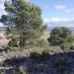 Yecla property:  Land in Murcia 49243