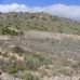 Yecla property: Yecla Land, Spain 49243