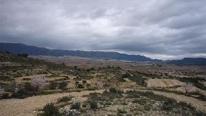 Pinoso property: Land with bedroom in Pinoso, Spain 49245