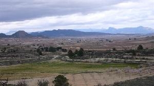 Pinoso property: Land in Alicante for sale 49245