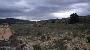 Pinoso property: Alicante property | bedroom Land 49245