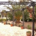 Yecla property: 5 bedroom Villa in Murcia 49263