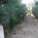 Yecla property: 2 bedroom House in Murcia 49265