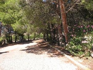 Yecla property: Yecla House 49267