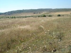 Yecla property: Murcia House 49275