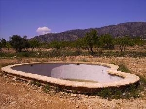 Pinoso property: Villa for sale in Pinoso, Spain 49280