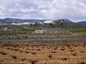 Pinoso property: Pinoso Villa 49286