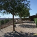 Pinoso property: Villa in Pinoso 49309