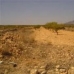 Pinoso property: Pinoso, Spain Land 49311