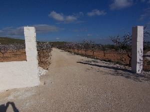 Pinoso property: Land with 4 bedroom in Pinoso, Spain 49319