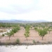 Pinoso property: Pinoso Land, Spain 49319