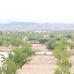 Pinoso property: Alicante Land, Spain 49319