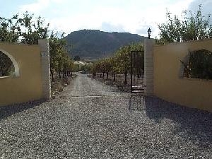 Hondon de las Nieves property: Villa with 5 bedroom in Hondon de las Nieves, Spain 49345