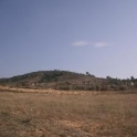 Pinoso property: Land for sale in Pinoso 49359