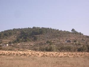 Pinoso property: Land for sale in Pinoso, Spain 49359