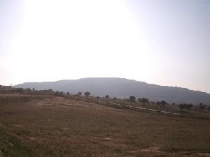 Pinoso property: Land with bedroom in Pinoso 49359