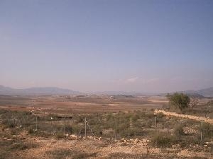 Pinoso property: Land for sale in Pinoso, Alicante 49359