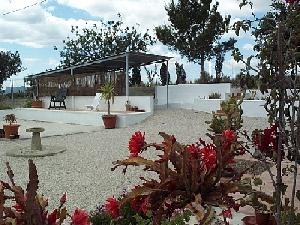 Albatera property: Villa for sale in Albatera, Spain 49361