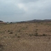 Pinoso property: Land for sale in Pinoso 49366
