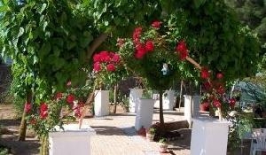 Beneixama property: House for sale in Beneixama, Spain 49376