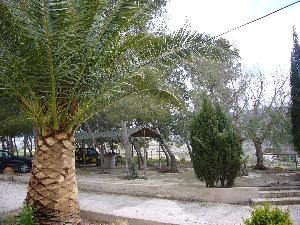 Pinoso property: House for sale in Pinoso 49377