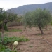 Pinoso property: Pinoso House, Spain 49384