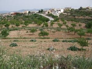 Yecla property: Yecla, Spain | Villa for sale 49392