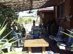 Sax property: House in Alicante for sale 49407