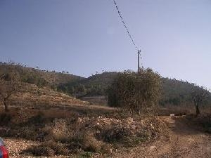 Pinoso property: Land with bedroom in Pinoso, Spain 49418