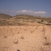 Pinoso property: Alicante, Spain Land 49418