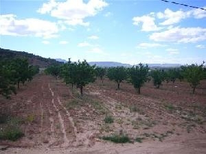 Pinoso property: Land in Alicante for sale 49420