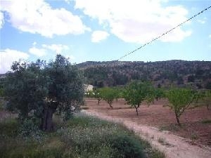 Pinoso property: Pinoso, Spain | Land for sale 49420