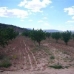 Pinoso property: Land in Pinoso 49420