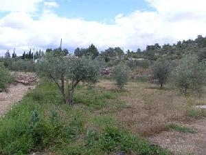 La Romana property: La Romana House 49451