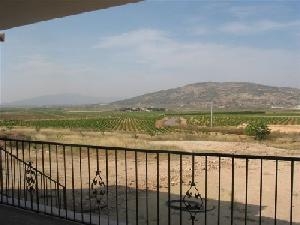 Pinoso property: Villa for sale in Pinoso, Spain 49499