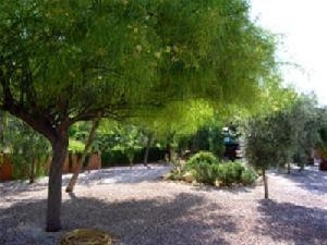 Aspe property: Villa with 3 bedroom in Aspe, Spain 49504