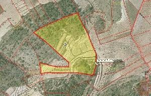 Jumilla property: Land for sale in Jumilla 49519