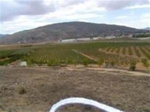Pinoso property: Land for sale in Pinoso 49527