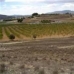 Pinoso property: Pinoso, Spain Land 49527