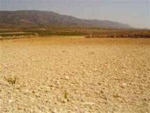 Pinoso property: Land for sale in Pinoso 49531