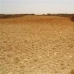 Pinoso property: Pinoso, Spain Land 49531