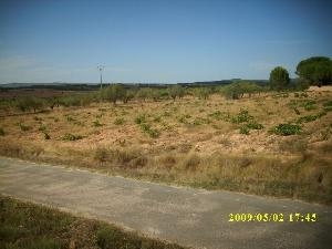 Villena property: Alicante Land 49535