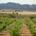 Villena property: Land for sale in Villena 49535