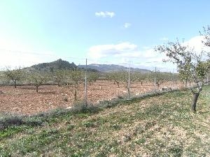 La Solana property: Villa with 4 bedroom in La Solana, Spain 49536