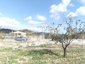 La Solana property: La Solana Villa 49536