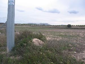 Pinoso property: Alicante property | bedroom Land 49538