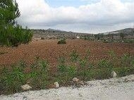 La Canalosa property: Land for sale in La Canalosa 49547