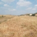 Jumilla property: Land for sale in Jumilla 49551